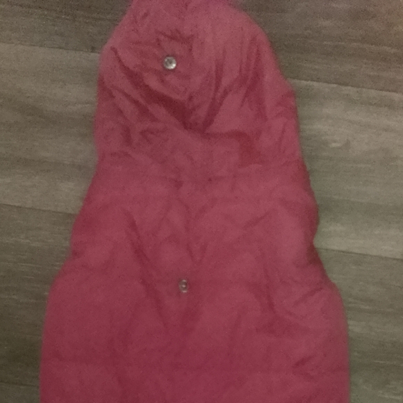 Cotton-Padded Jacket Hoodies Dog or Cat - Picture 4 of 5